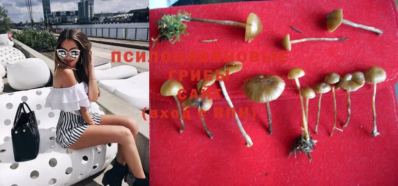 Псилоцибиновые грибы Magic Shrooms  Калачинск 